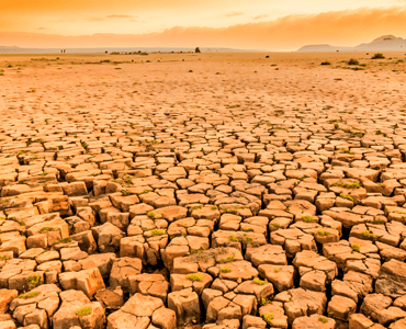Brick on Brick International Barren Land Transformation